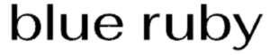 Logo2-1-300x62